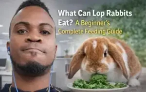 Read more about the article What Can Lop Rabbits Eat? A Beginner’s Complete Feeding Guide