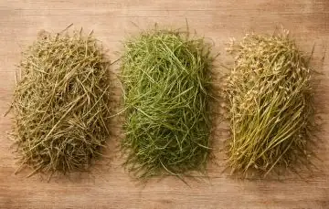 best hay for lop rabbits